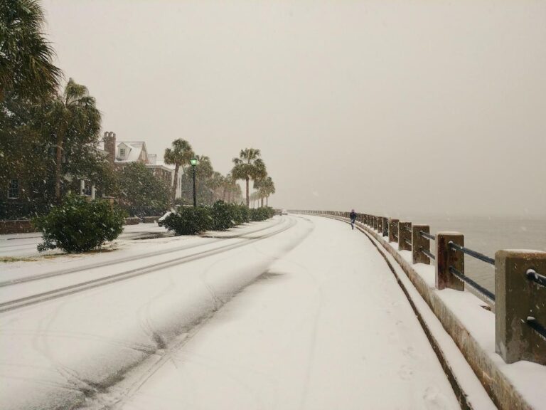 Charleston SC in the Snow!
